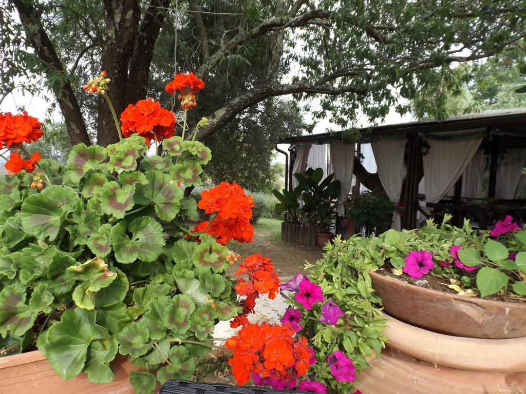 Agriturismo San Giacomo Pitigliano Habitación foto